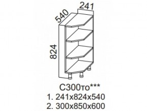 С300то Стол-рабочий 300 (торцевой открытый) в Ревде - revda.magazin-mebel74.ru | фото