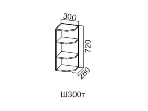 Ш300т/720 Шкаф навесной 300/720 (торцевой) в Ревде - revda.magazin-mebel74.ru | фото