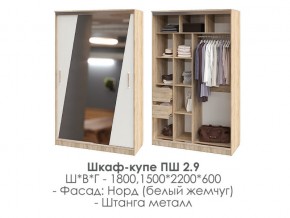 шкаф-купе ПШ-2.9 1500 Норд Белый жемчуг 1500 в Ревде - revda.magazin-mebel74.ru | фото