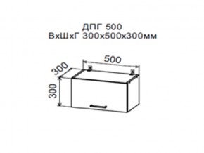 Шкаф верхний ДПГ500 горизонтальный в Ревде - revda.magazin-mebel74.ru | фото