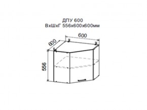 Шкаф верхний ДПУ600 угловой в Ревде - revda.magazin-mebel74.ru | фото